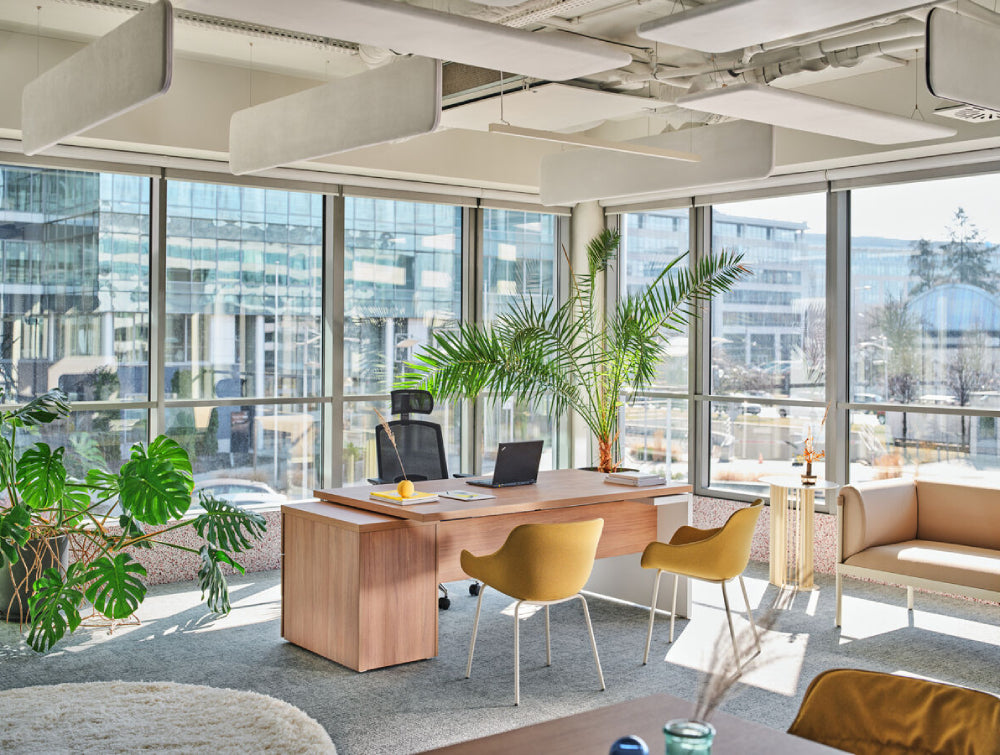 Wooden Executive Desk Office Furniture With Indoor Plant And Upholstered Yellow Tub Chair In Executive Setting