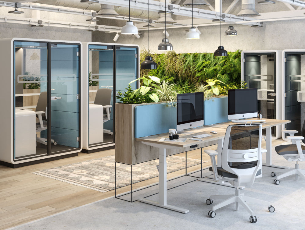 Wooden Top Sit Stand Desk Office Furniture With Ergonomic Chair And Indoor Plant In Breakout Setting